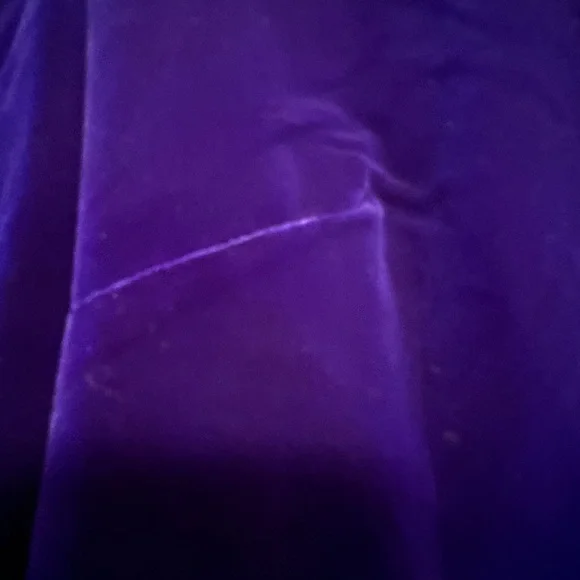 Vintage Royal Blue Velvet Dress by Late Edition Limited Size Medium - Picture 5 of 5